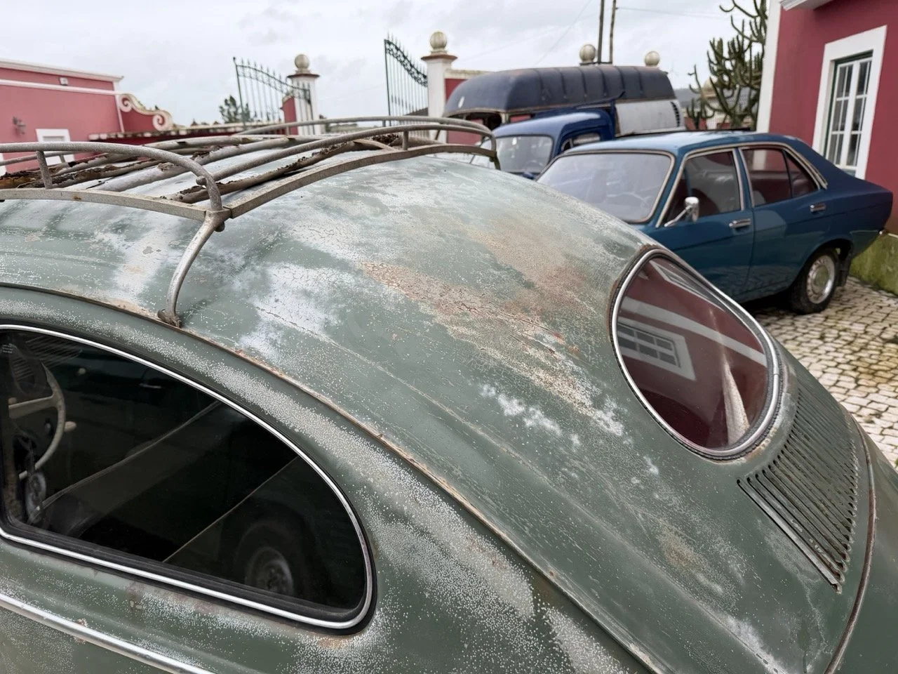 IMG_1195 – grande.jpeg