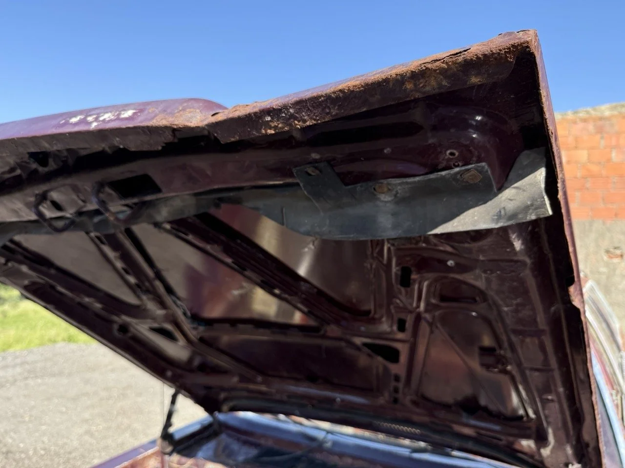 IMG_3040 – grande.jpeg