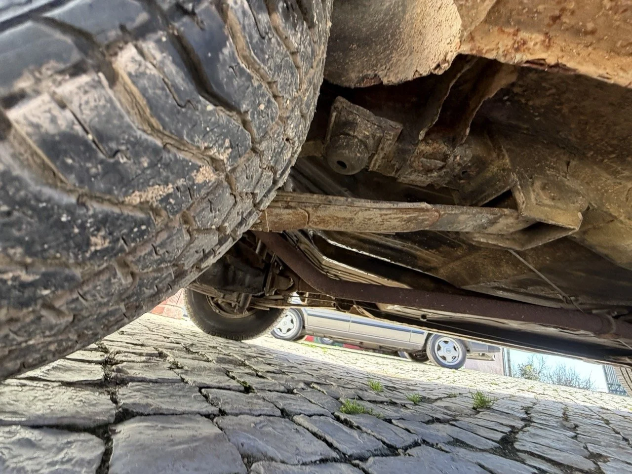 IMG_1898 – grande.jpeg