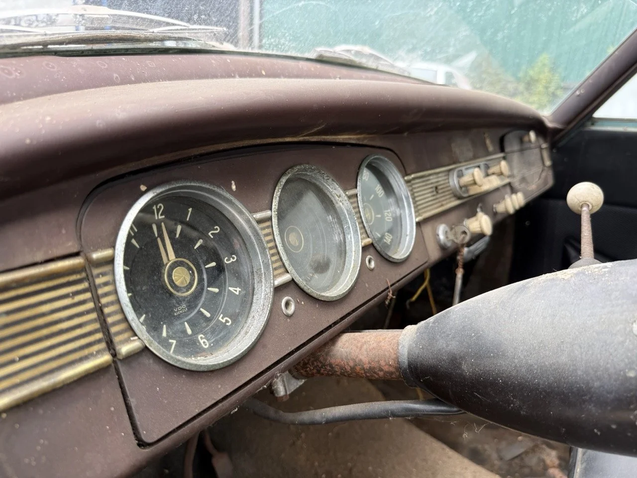 IMG_1366 – grande.jpeg