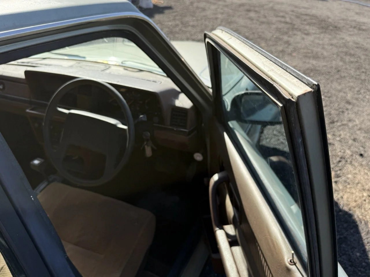 IMG_1213 – grande.jpeg