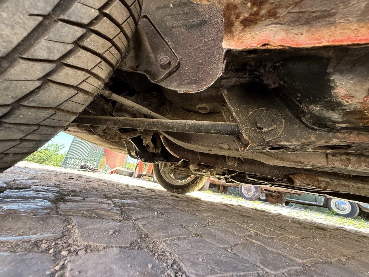 IMG_2106 – grande.jpeg