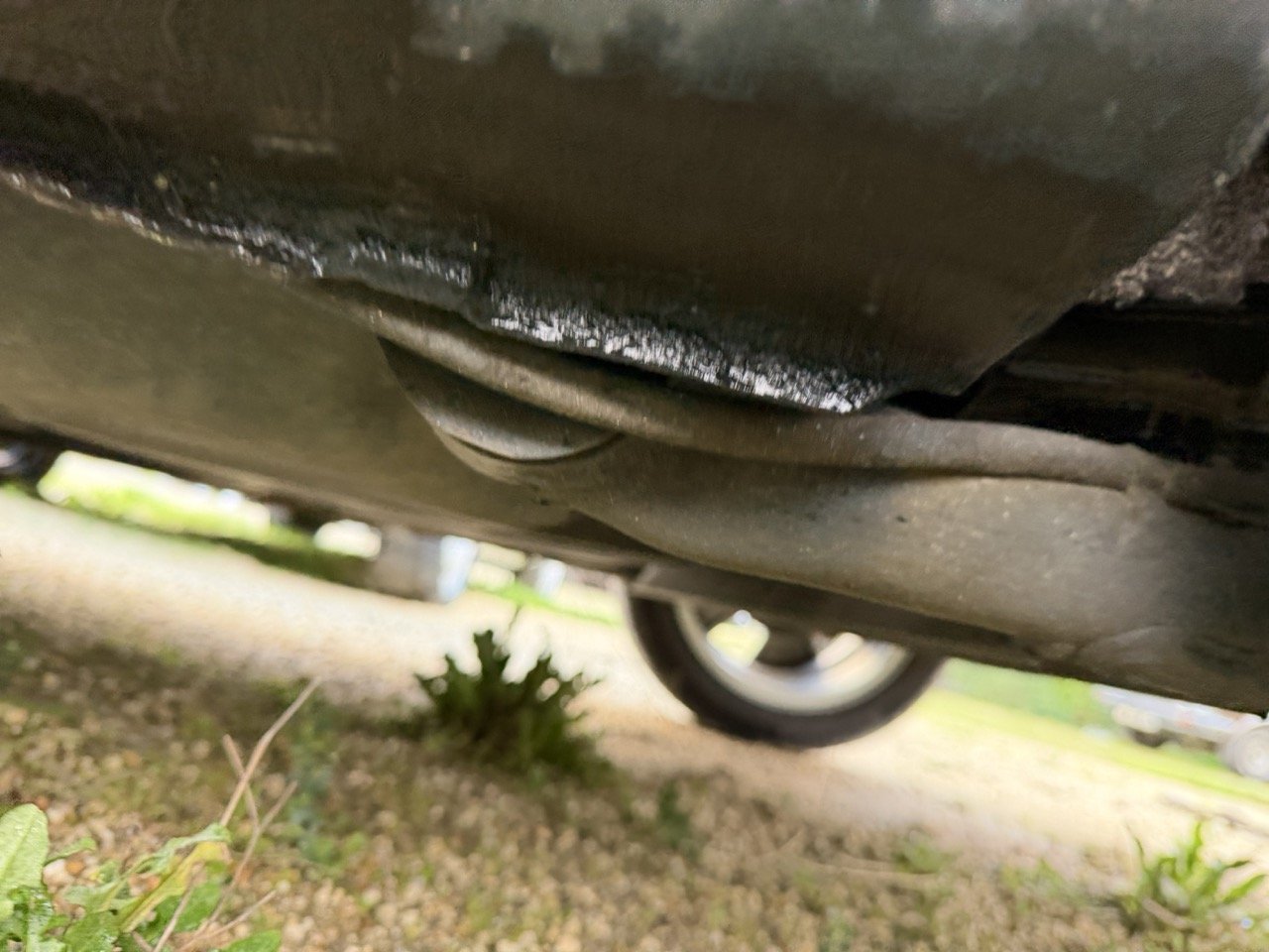 IMG_5337 – grande.jpeg