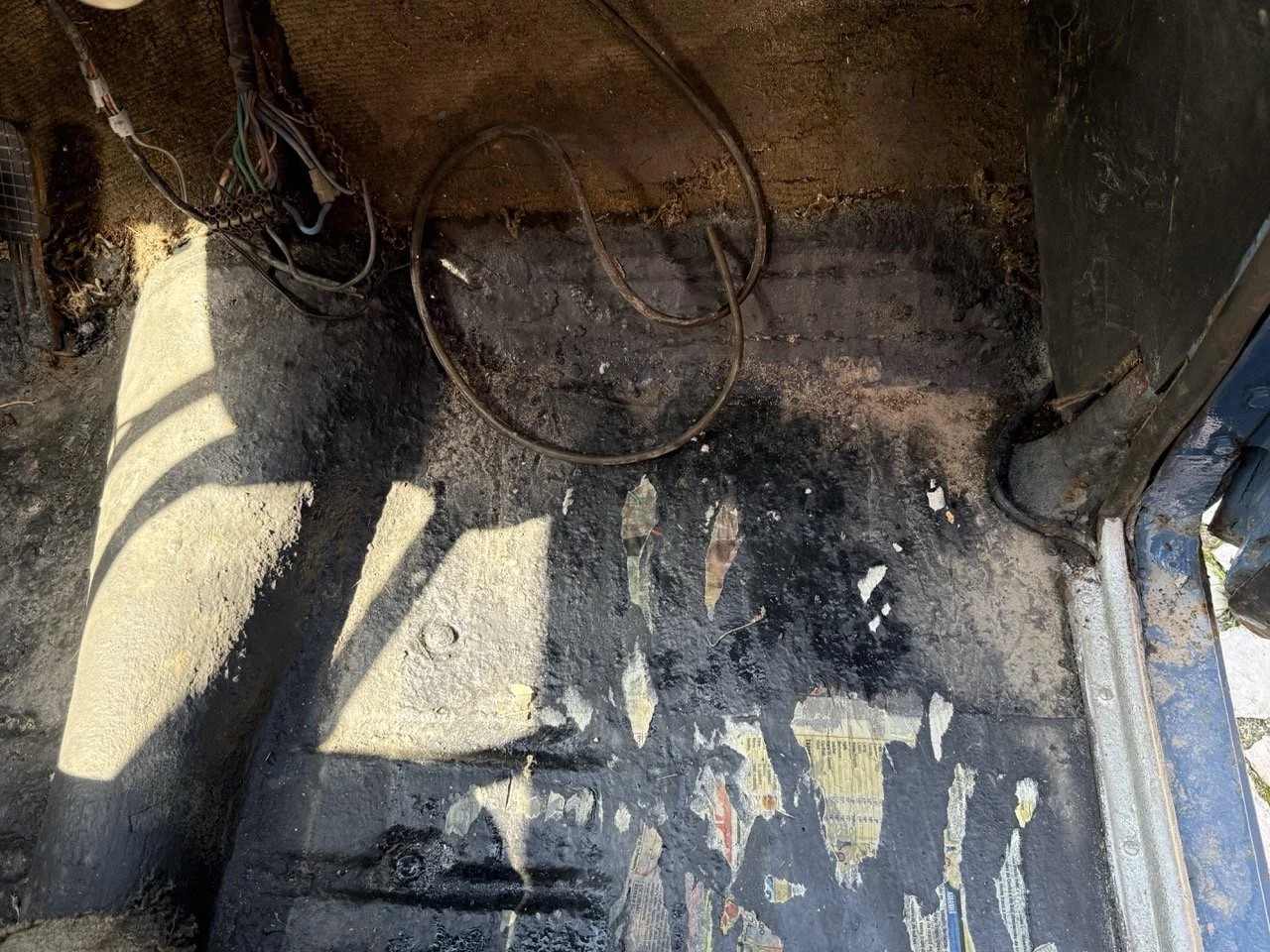 IMG_3541 – grande.jpeg