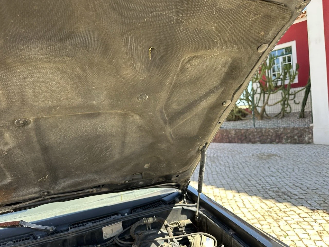 IMG_3075 – grande.jpeg