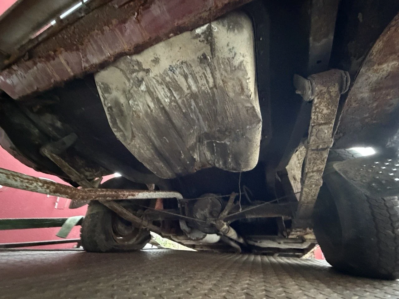 IMG_9025 – grande.jpeg