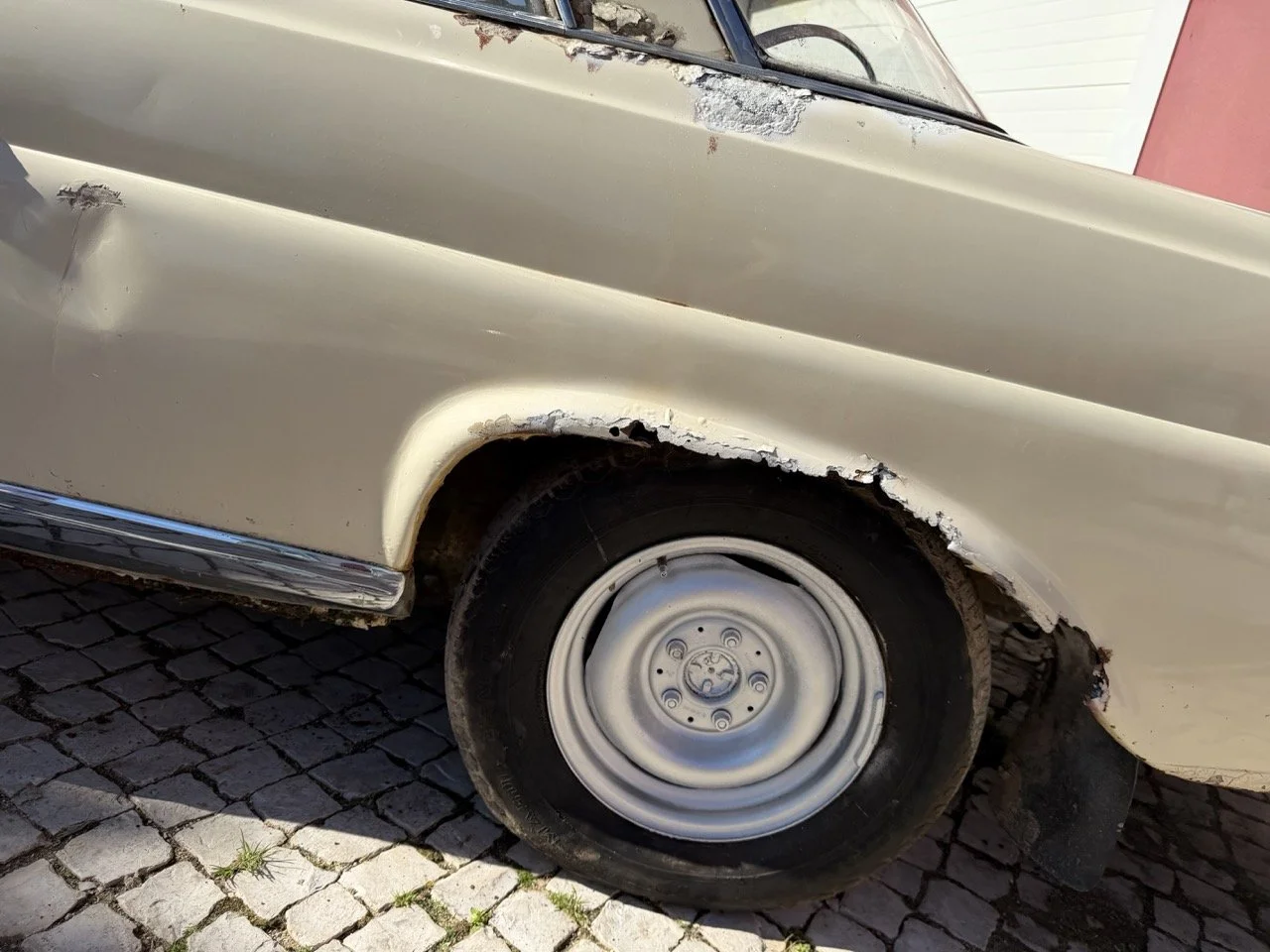 IMG_7040 – grande.jpeg