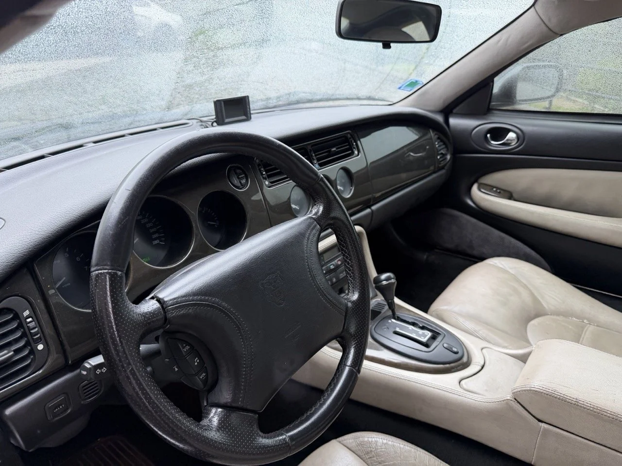 IMG_3614 – grande.jpeg