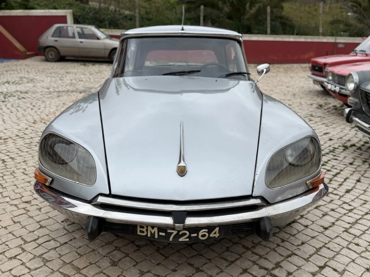 IMG_3664 – grande.jpeg