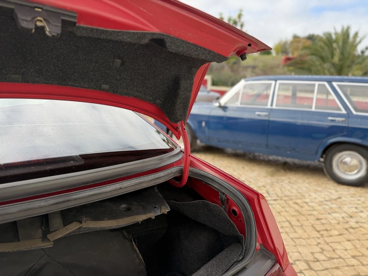 IMG_2287 – grande.jpeg