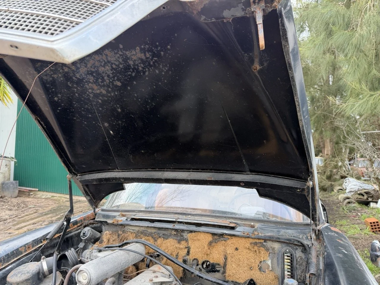 IMG_1950 – grande.jpeg