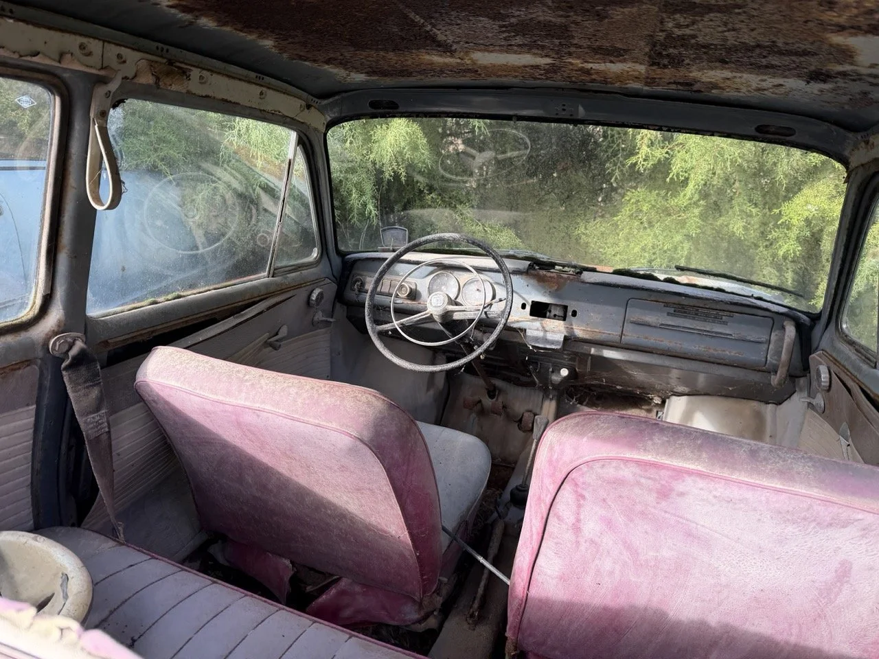 IMG_8568 – grande.jpeg