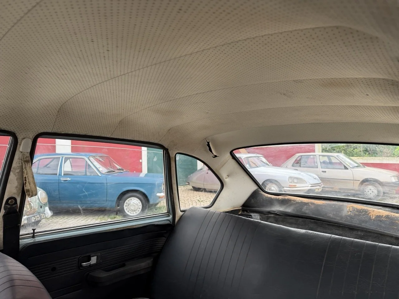 IMG_4809 – grande.jpeg