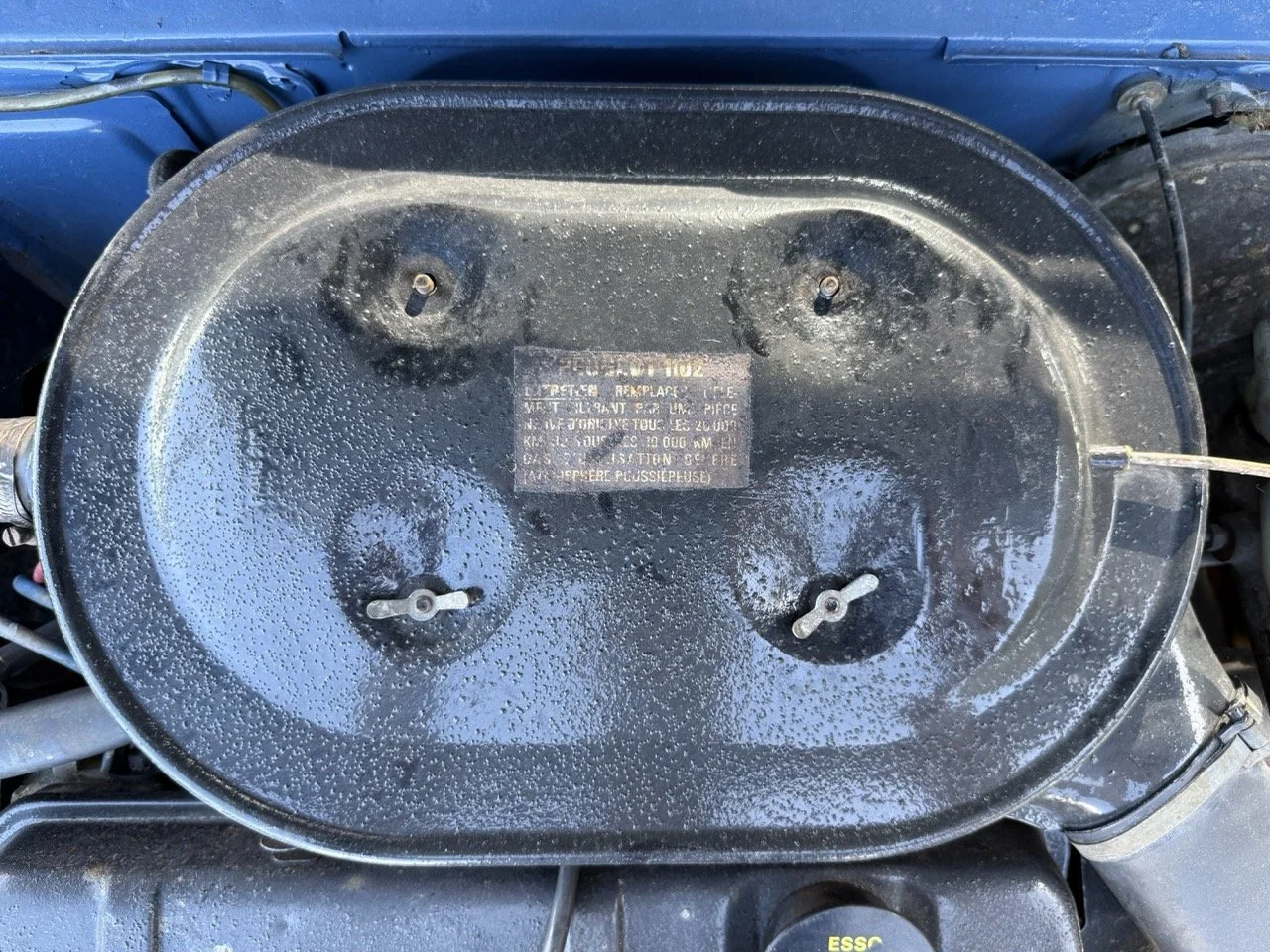 IMG_0789 – grande.jpeg