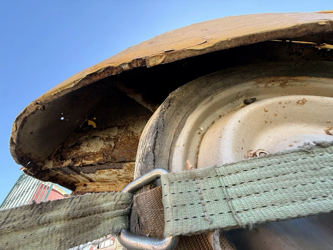 IMG_9143 – grande.jpeg