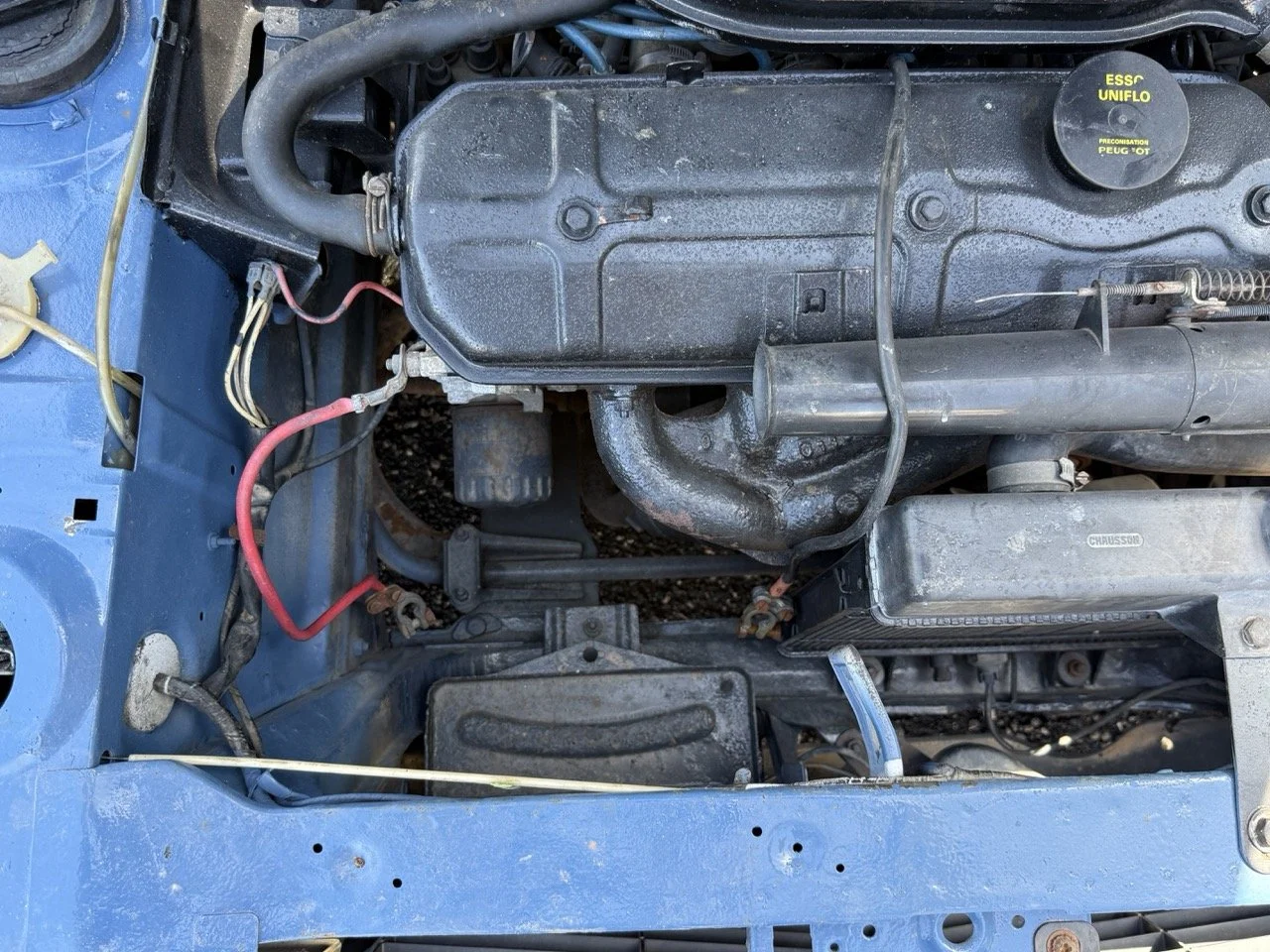 IMG_0796 – grande.jpeg