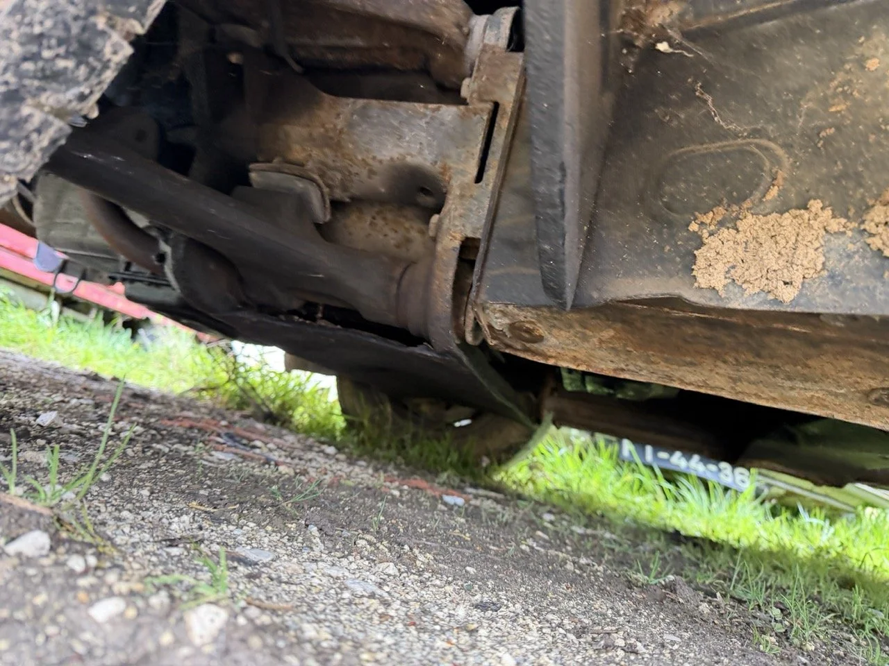 IMG_1356 – grande.jpeg