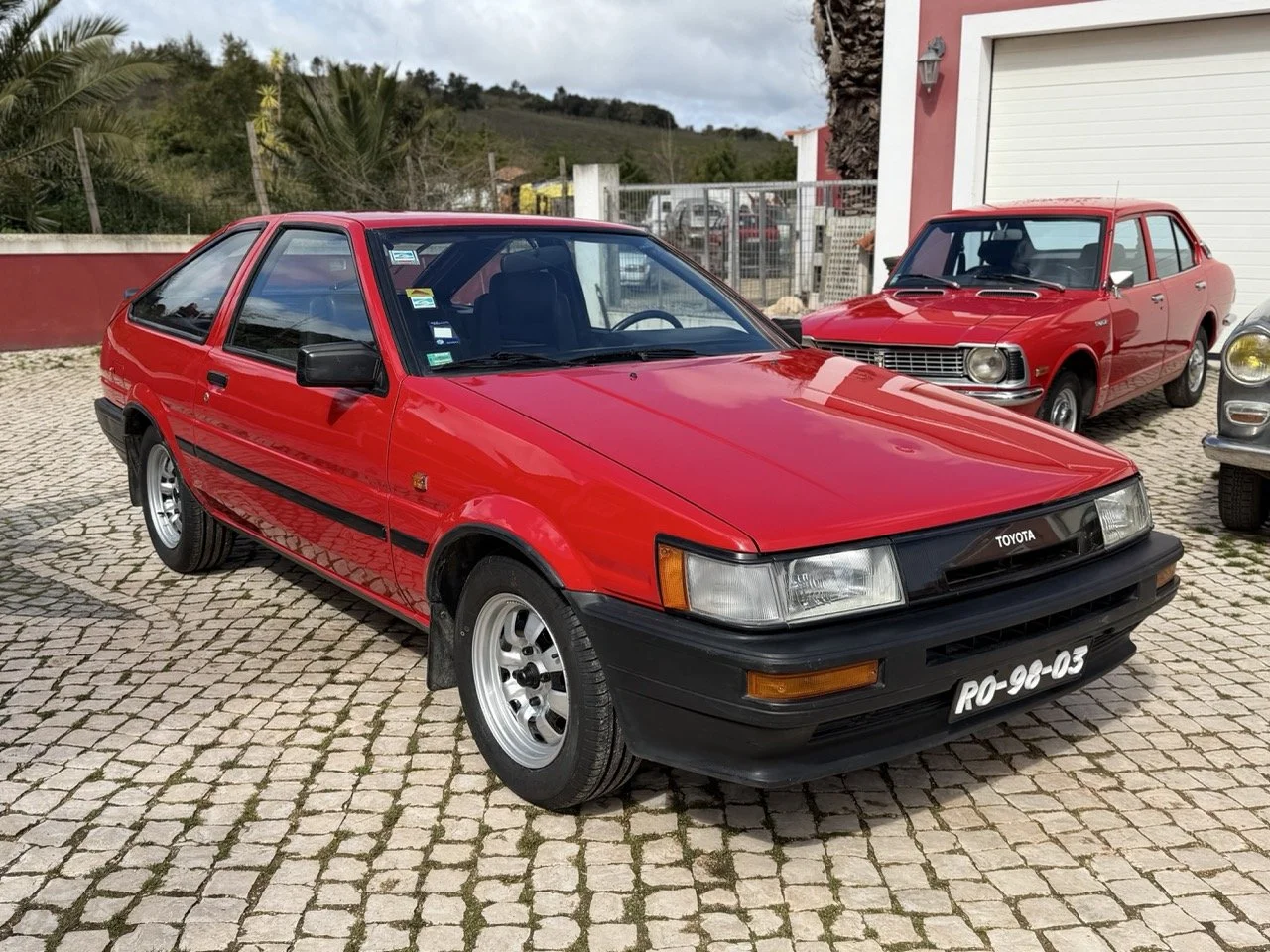 IMG_2288 – grande.jpeg