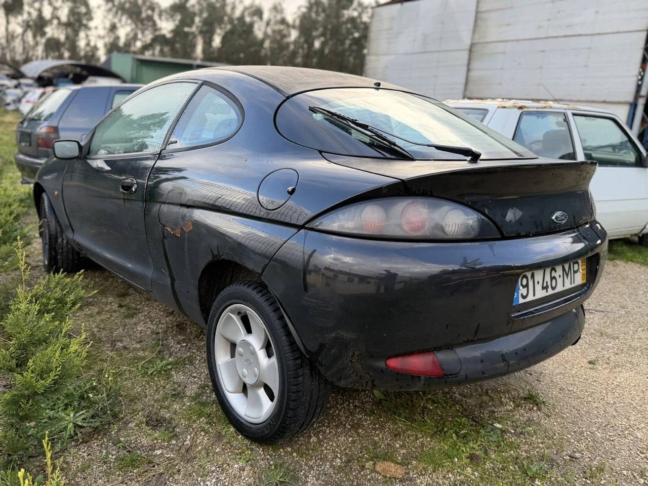 IMG_5293 – grande.jpeg