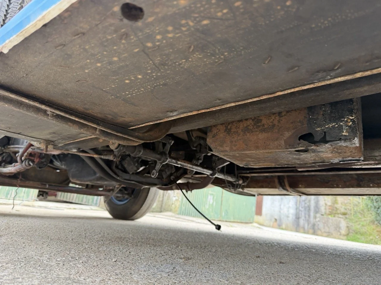 IMG_1566 – grande.jpeg