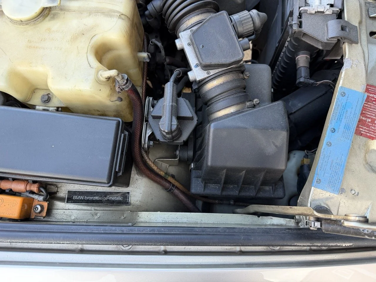 IMG_6979 2 – grande.jpeg