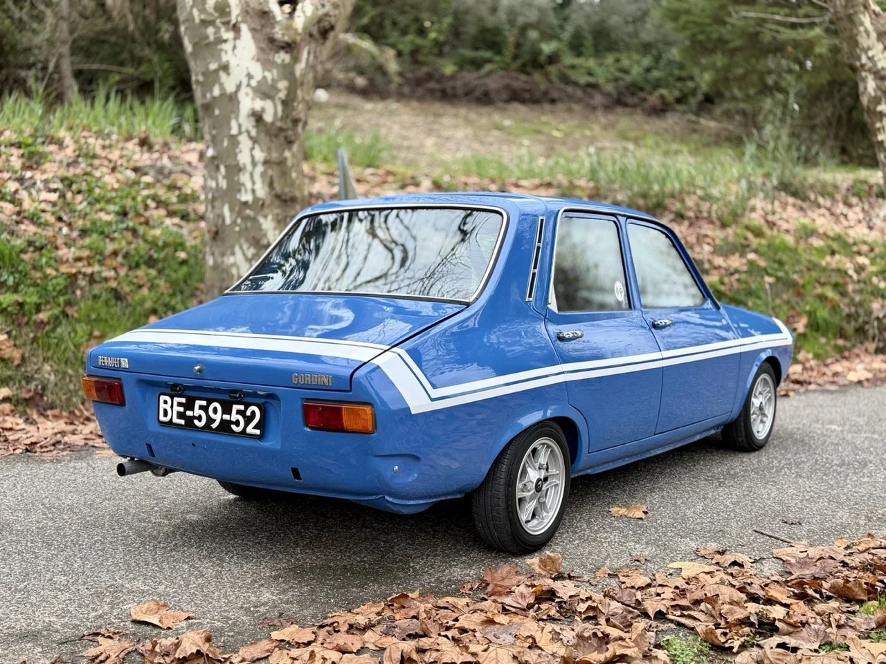 IMG_6186 2 – grande.jpeg