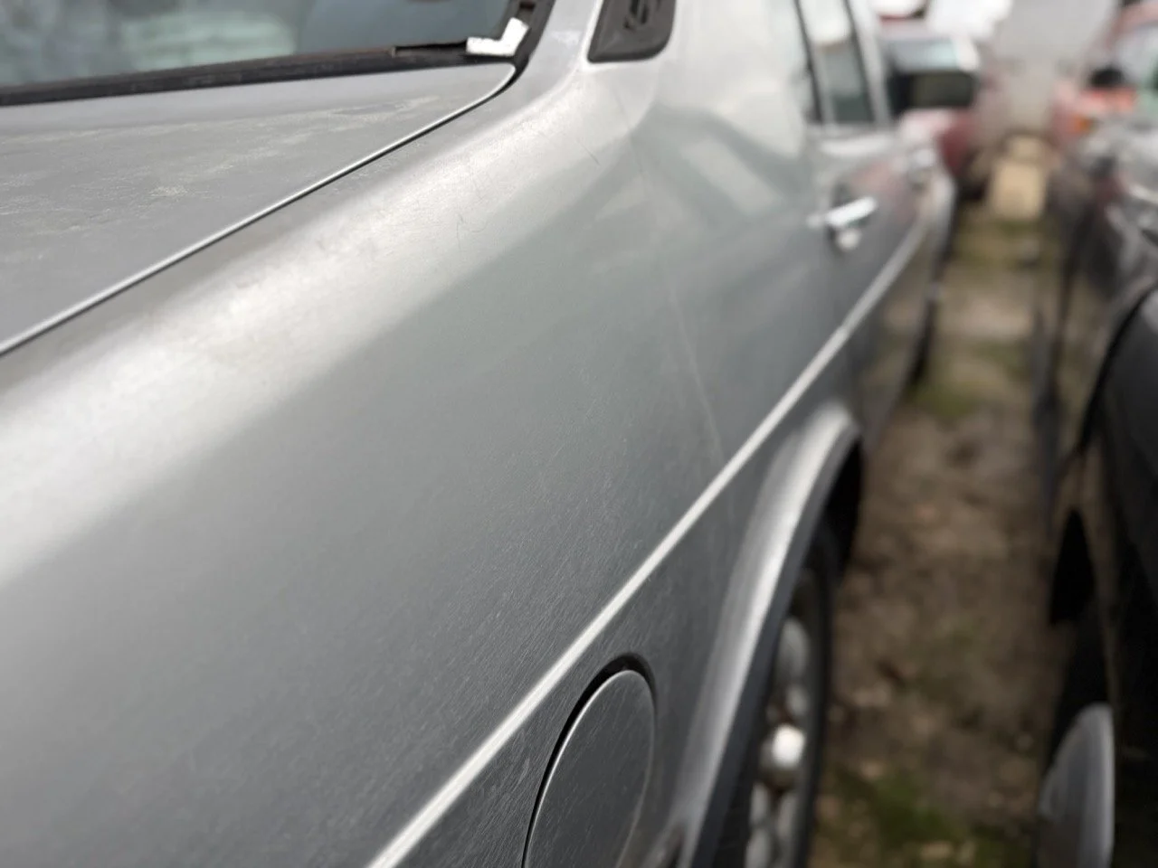 IMG_5001 – grande.jpeg