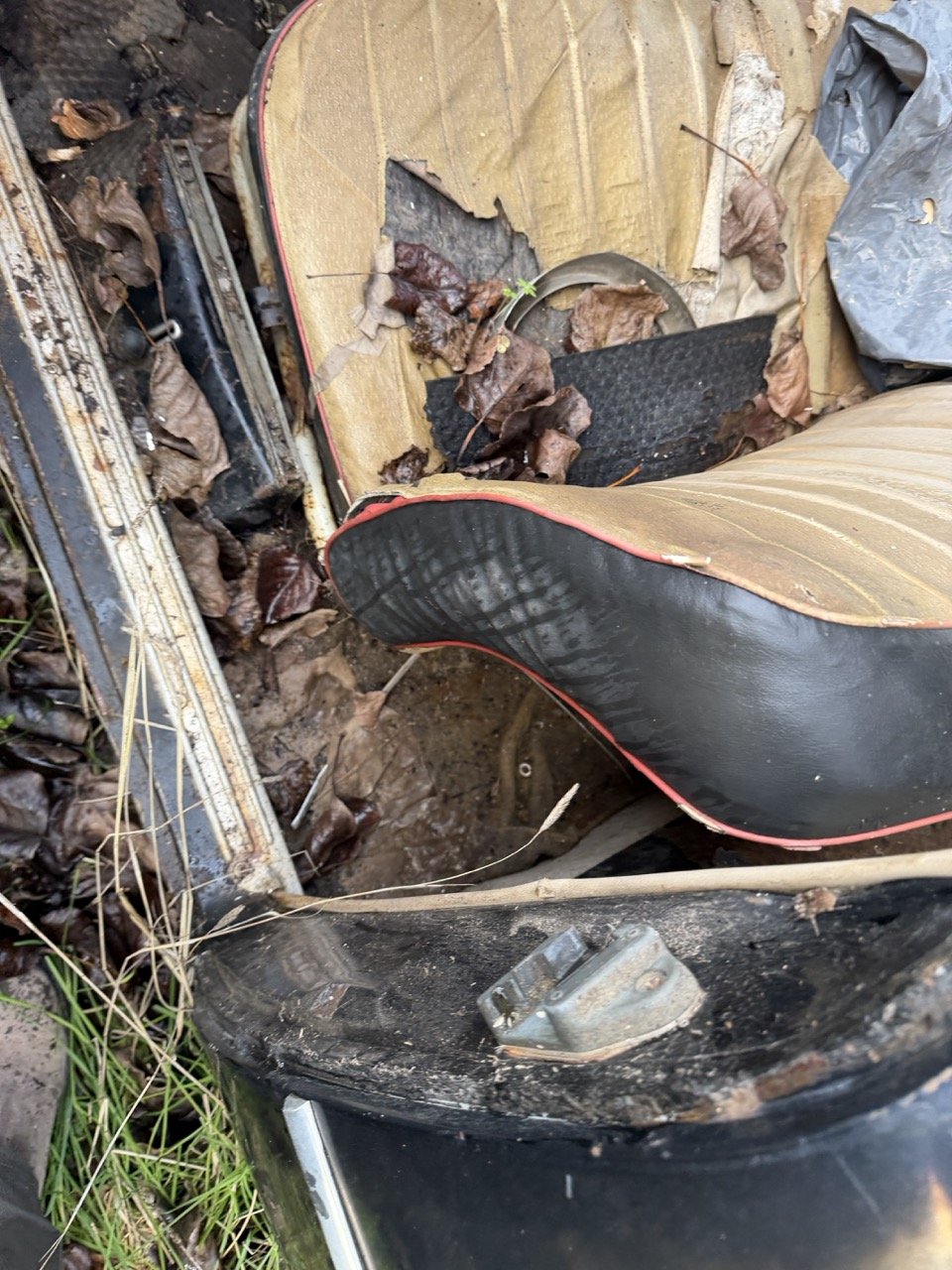 IMG_5086 – grande.jpeg