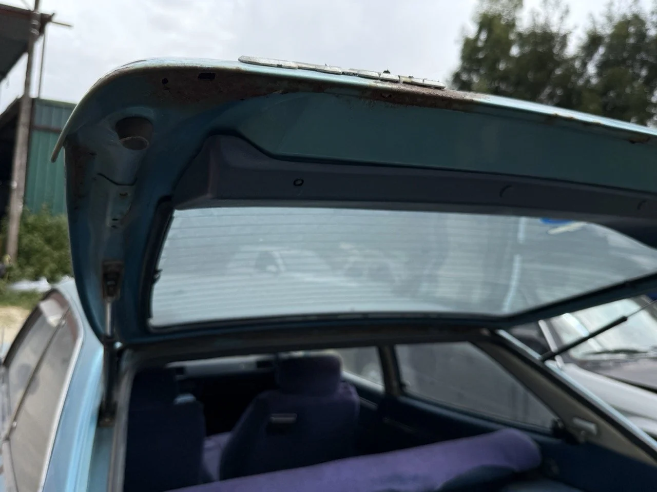 IMG_1536 – grande.jpeg