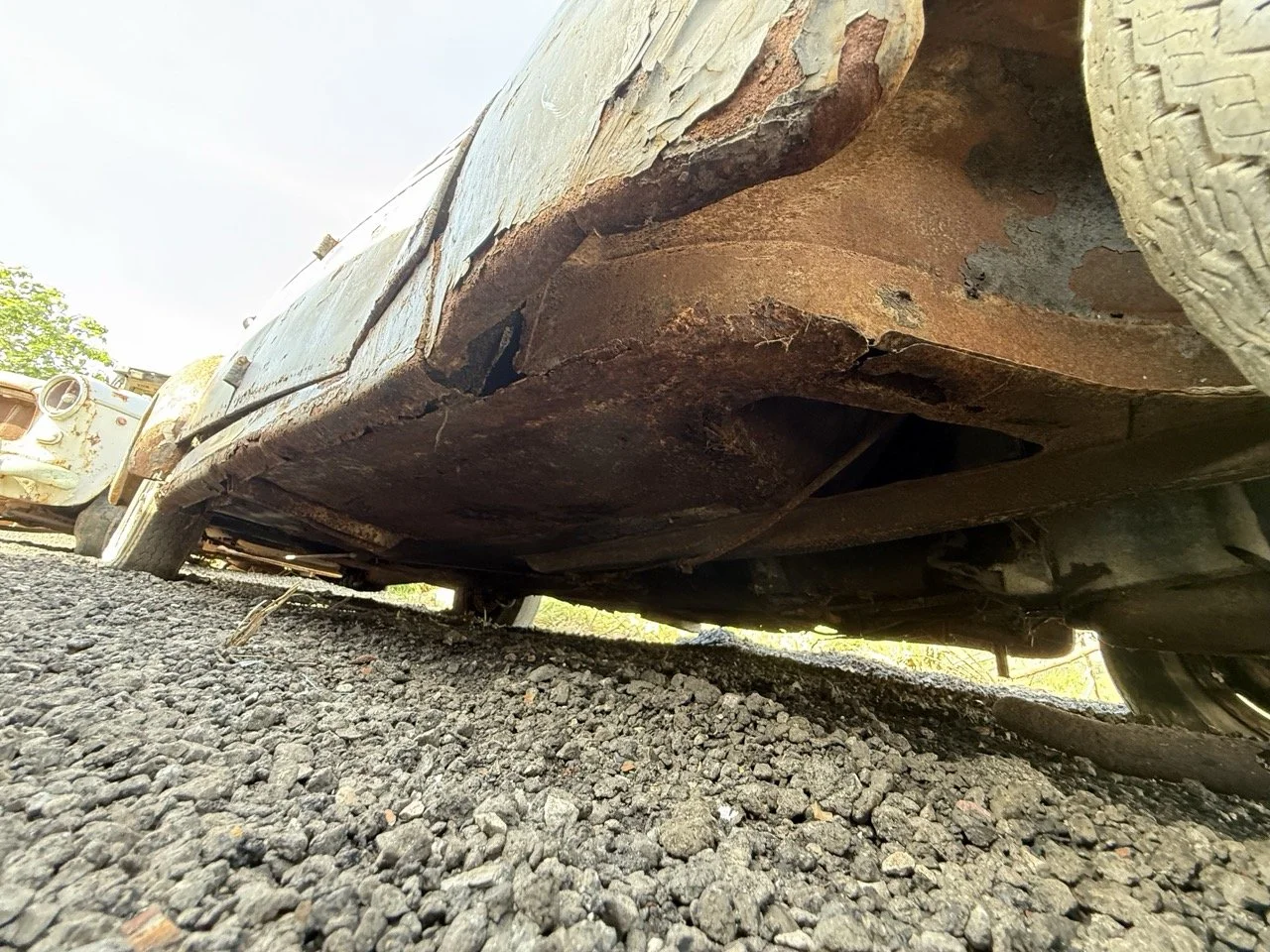 IMG_0420 – grande.jpeg