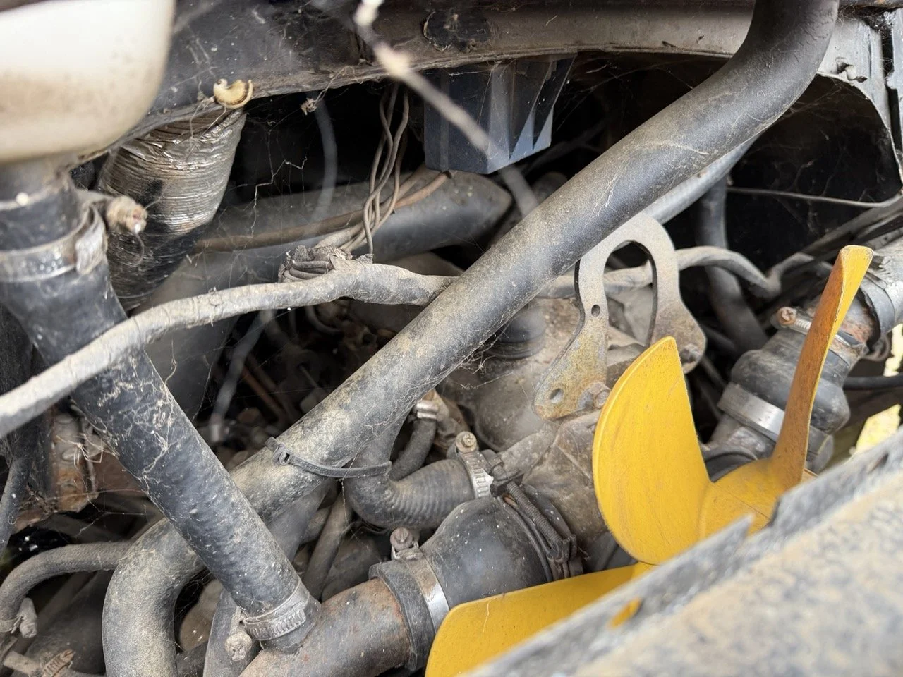 IMG_1361 – grande.jpeg