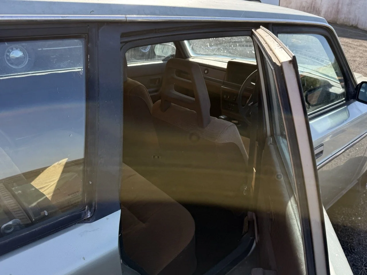 IMG_1206 – grande.jpeg