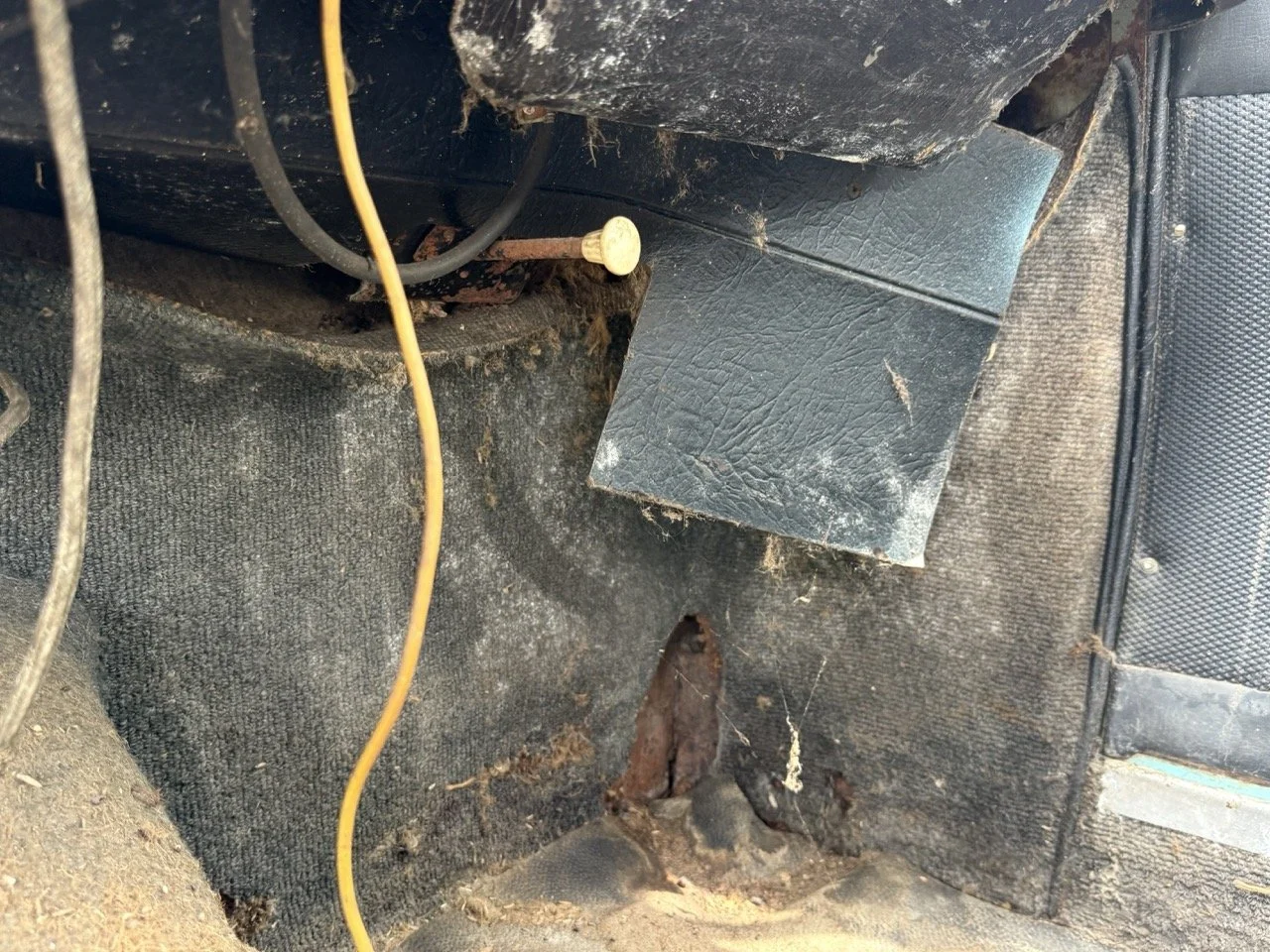 IMG_1391 – grande.jpeg