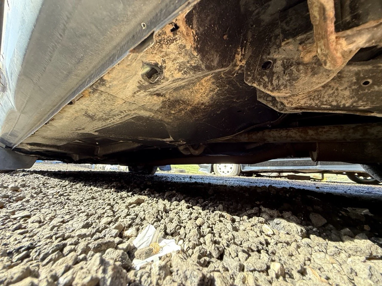 IMG_1223 – grande.jpeg