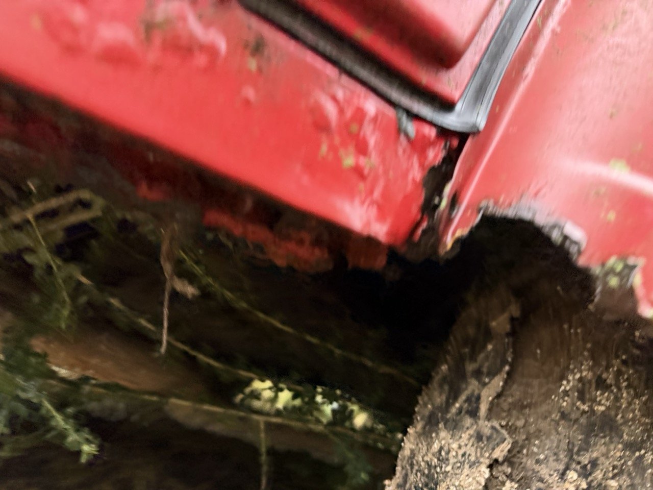 IMG_5508 – grande.jpeg