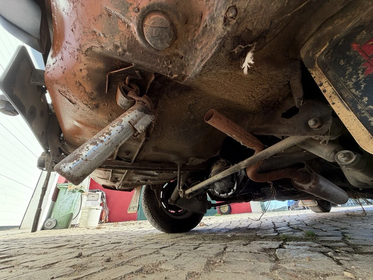 IMG_2459 – grande.jpeg