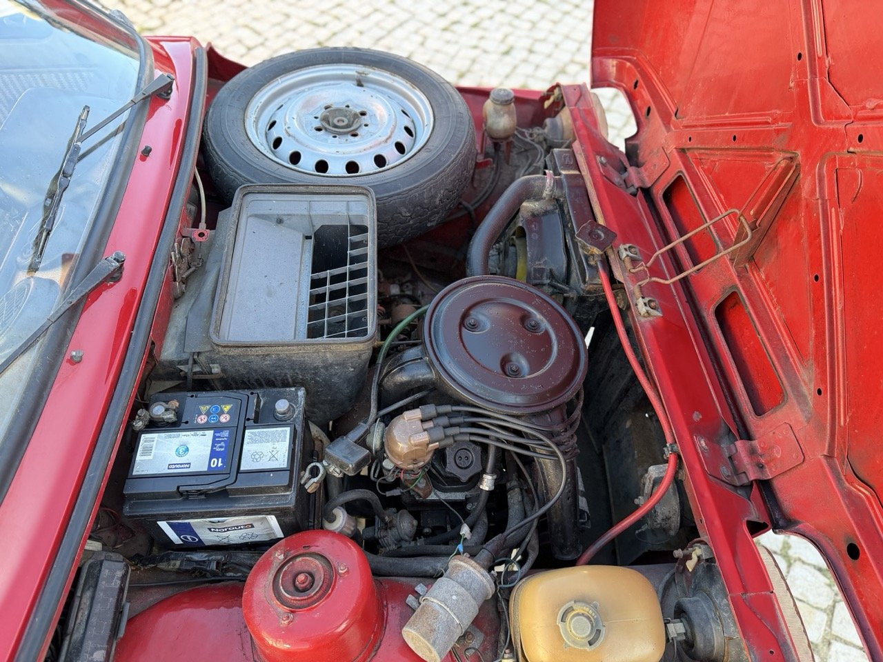 IMG_7166 – grande.jpeg