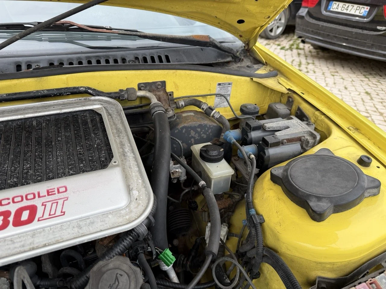 IMG_9750 – grande.jpeg