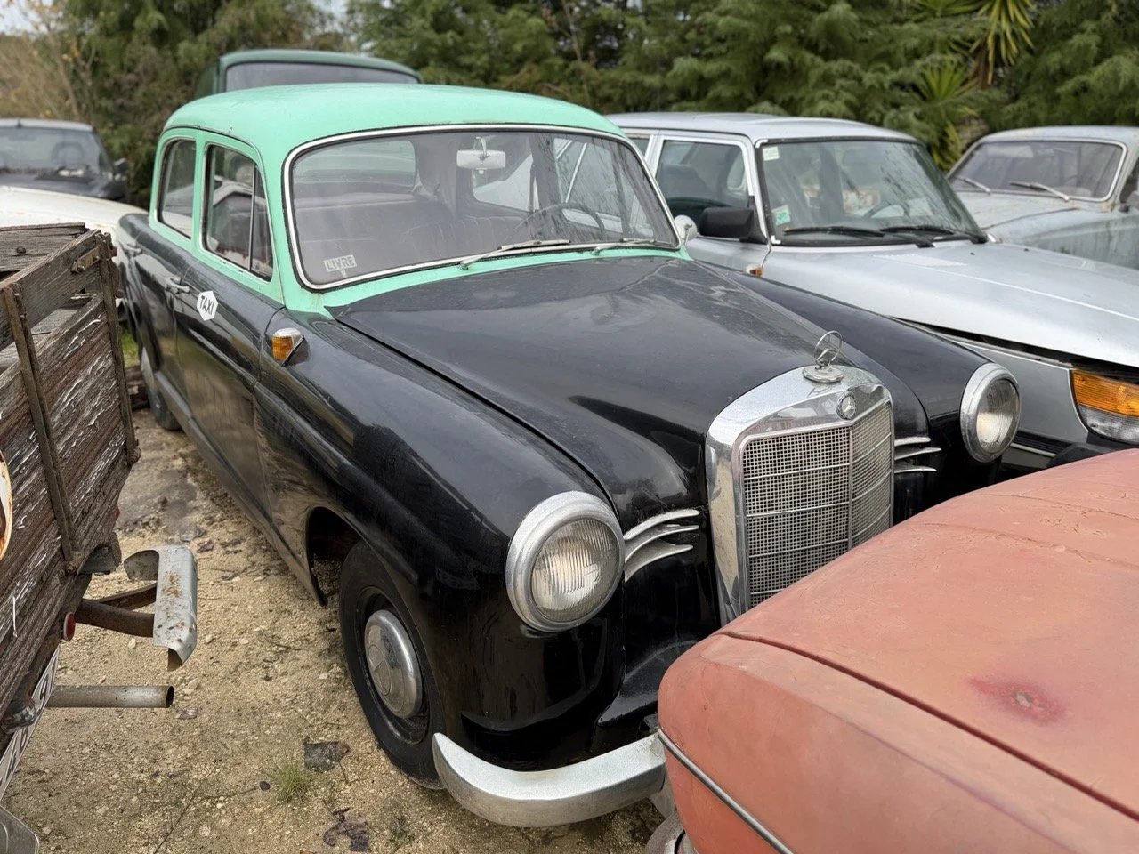 IMG_5003 – grande.jpeg