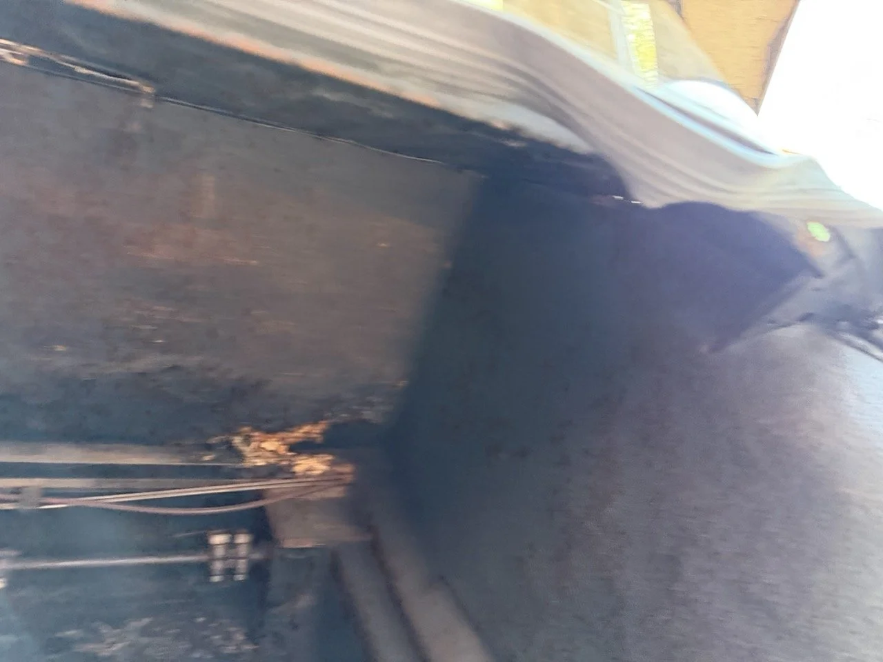 IMG_5951 2 – grande.jpeg