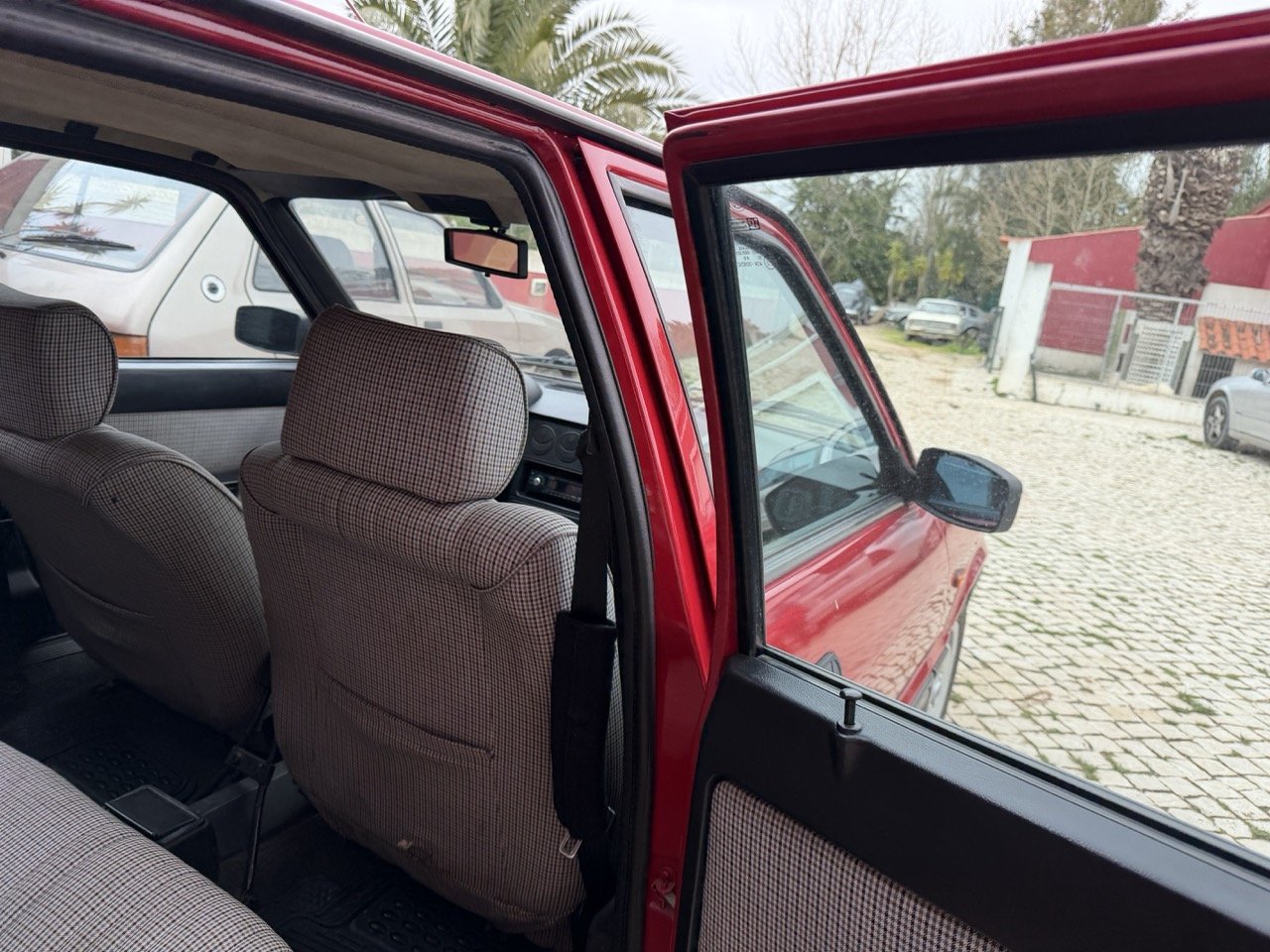 IMG_3455 – grande.jpeg