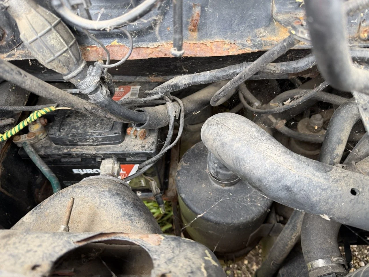 IMG_1362 – grande.jpeg