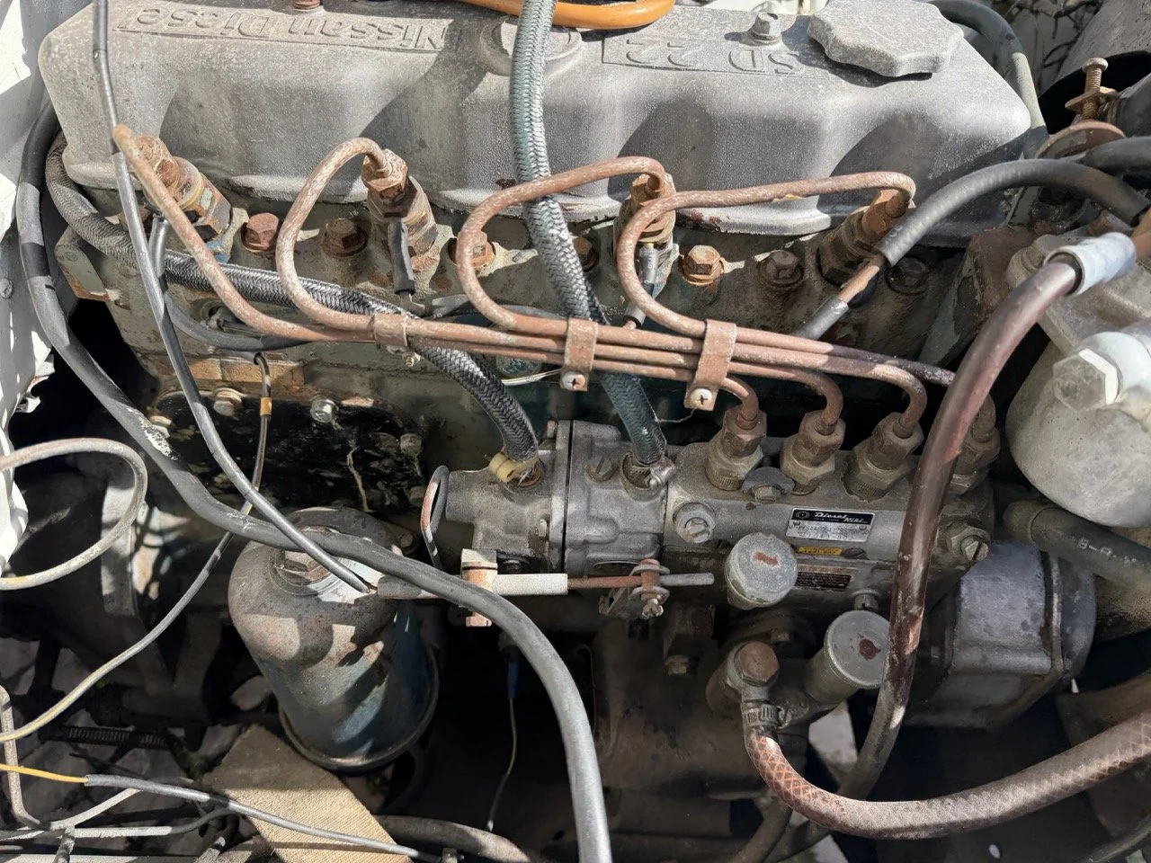 IMG_8616 2 – grande.jpeg