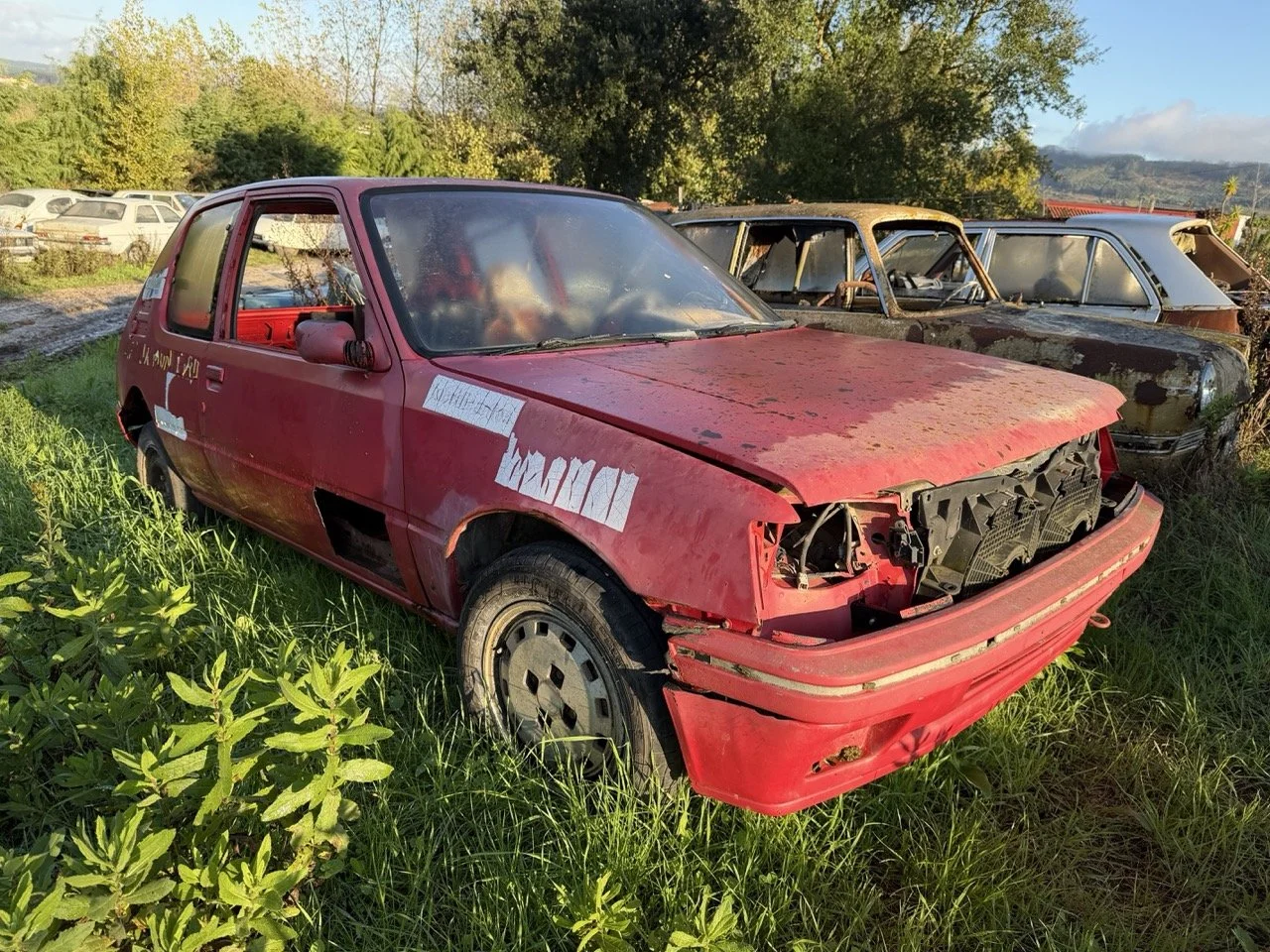 IMG_8988 2 – grande.jpeg