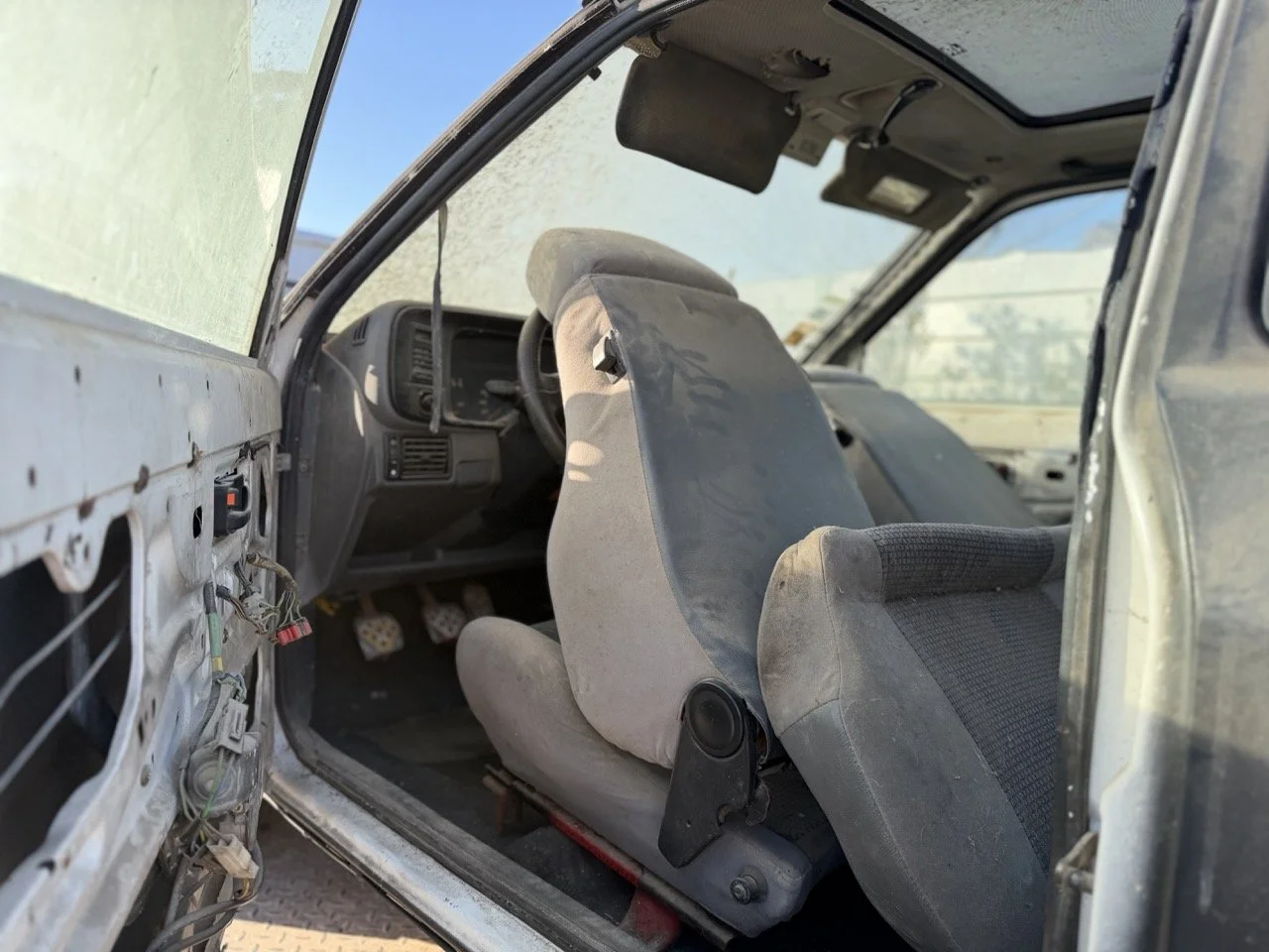 IMG_2429 – grande.jpeg