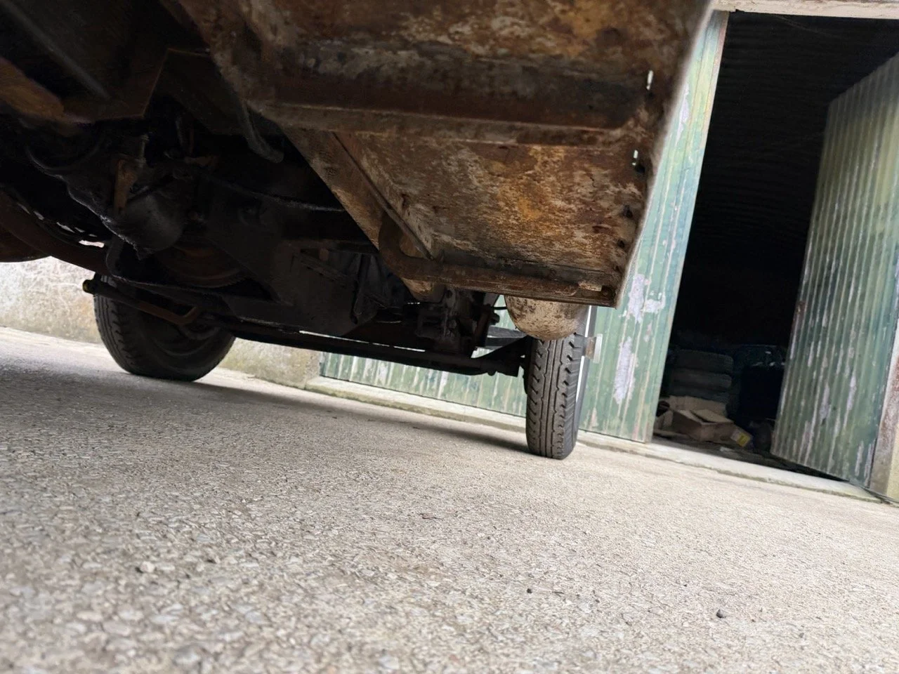 IMG_1652 – grande.jpeg