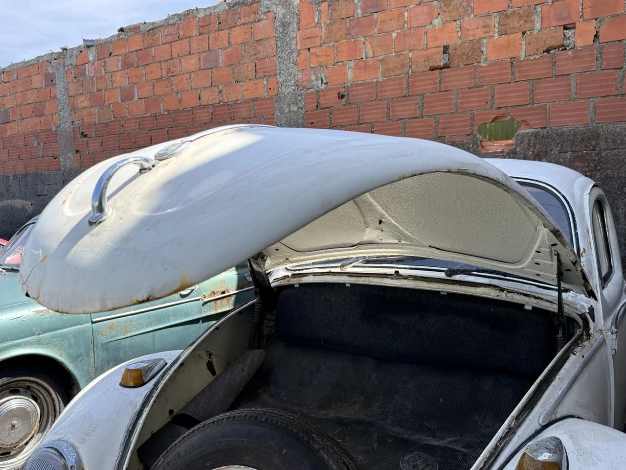 IMG_0709 – grande.jpeg