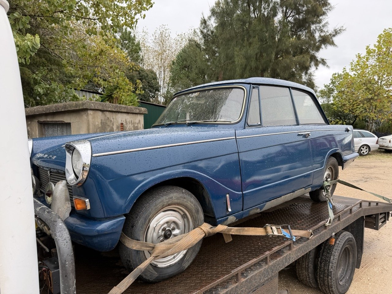 IMG_8665 – grande.jpeg