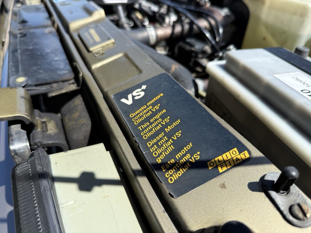 IMG_1899 – grande.jpeg