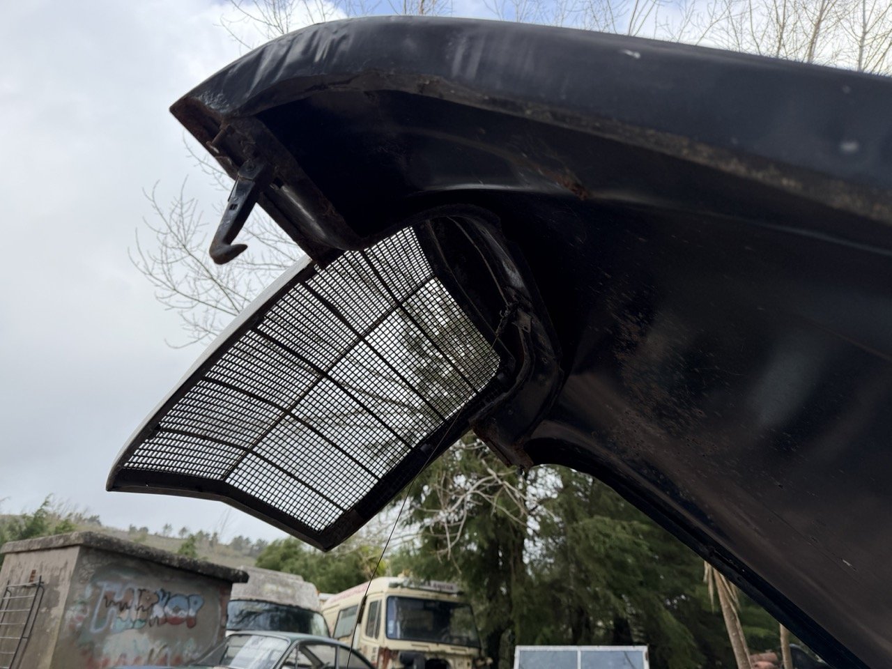 IMG_1951 – grande.jpeg